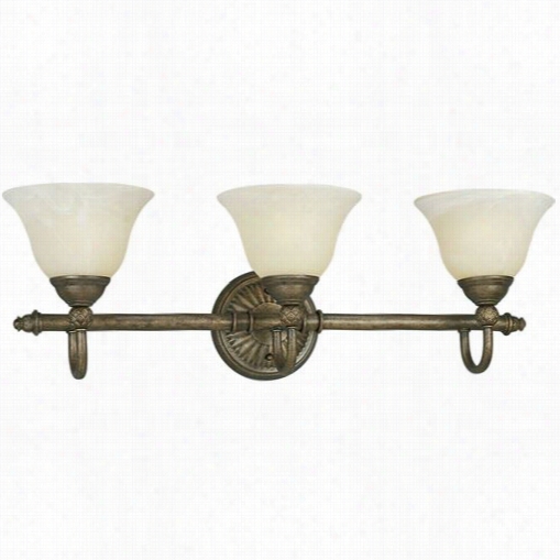 Progress Lighting P3206-86 Savannah 3 Light Bath Fixture In Burnished Chestnut