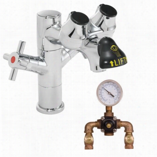 Speakman  Sef-1850-tw Eyesaver Single Post Laboratory Faucet With Thermostatic Mixing Valve