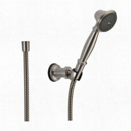 Deltta 55020-ss Single Function Wall Mounted Handshower In Stainless With 69"&auot; Hose