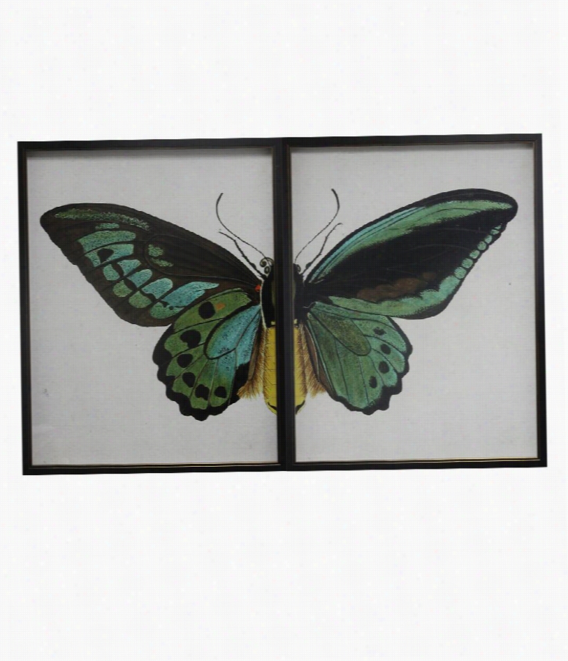 Butterfly Diptych Framed Print - 48&qout;" W X 30"" H