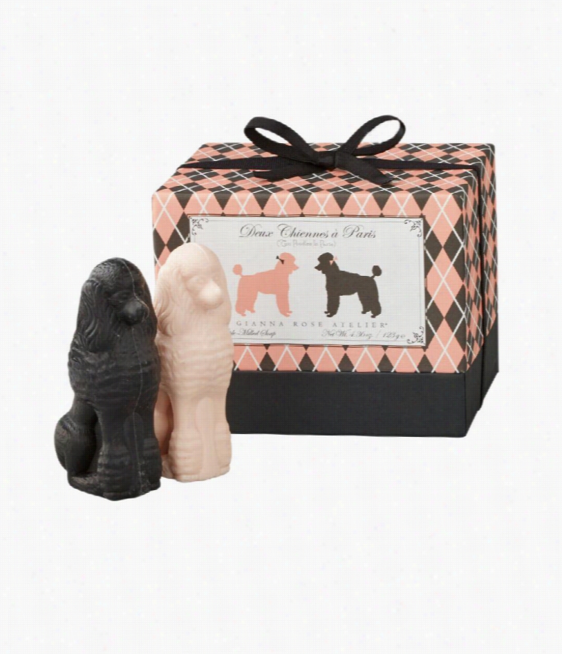 Poodles So Ap Wiith Gift Box