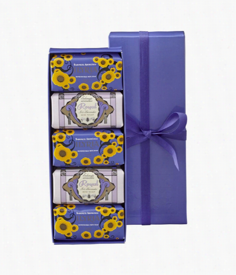 Purple Gift Box Soap Prescribe