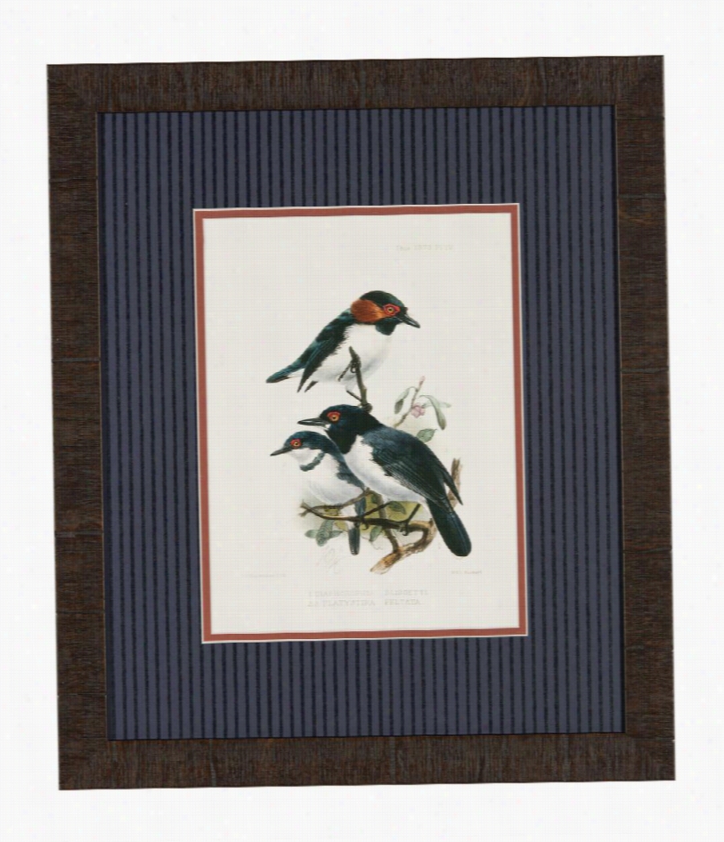 Rangeley Bird Si Framed Print - 177""w  X 20"" H