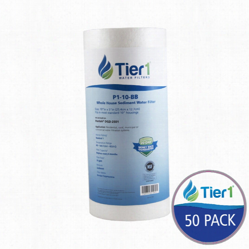 Dgd-2501 Pentek To Be Compared Whole Houae Sediment Water Filter By Tier1 (50-pack)