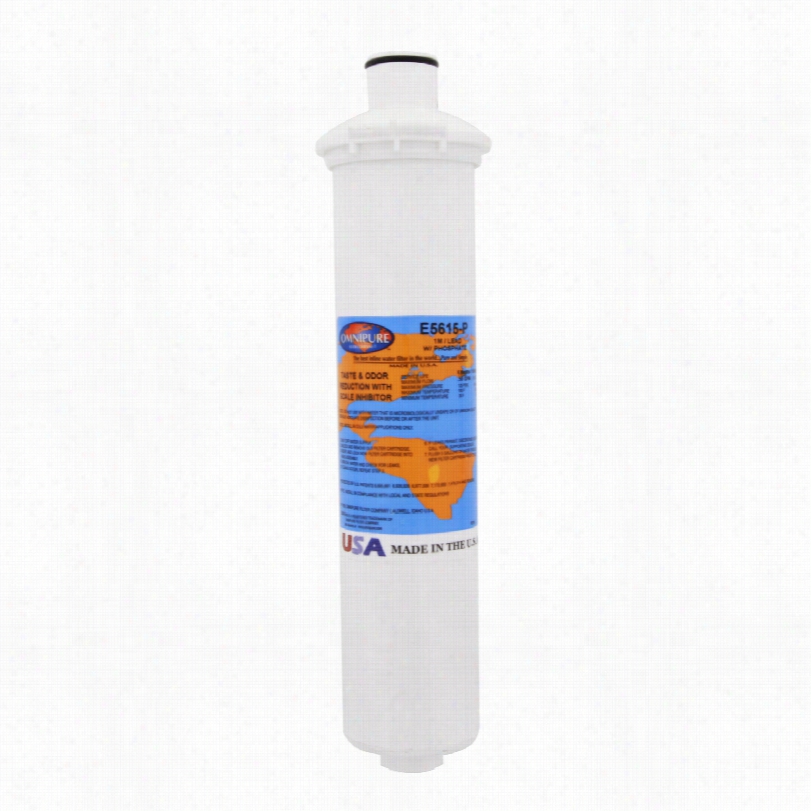 E5615-p Omnipure E-series Water  Filter