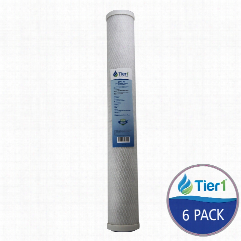 Ep5-20 Tier1 C Arbon Block Water Filtr (6-pack)