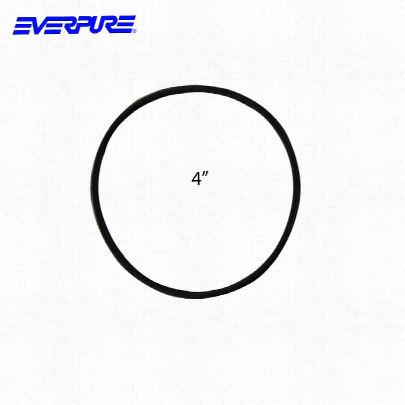 Ev3071-19 Everpure Water Filtration System O-ring (4 Inch Diameter)