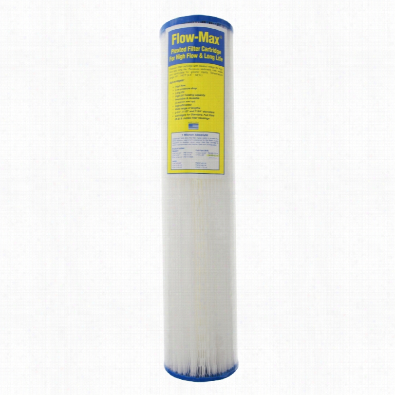 Fm-bb-20- 1a Watts Pleated Water Filter Cartridge