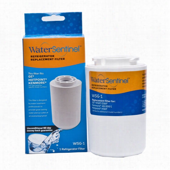 Mwf Ge Comparable Refrigerator Water Filter: Water Sentinel Wsg-1