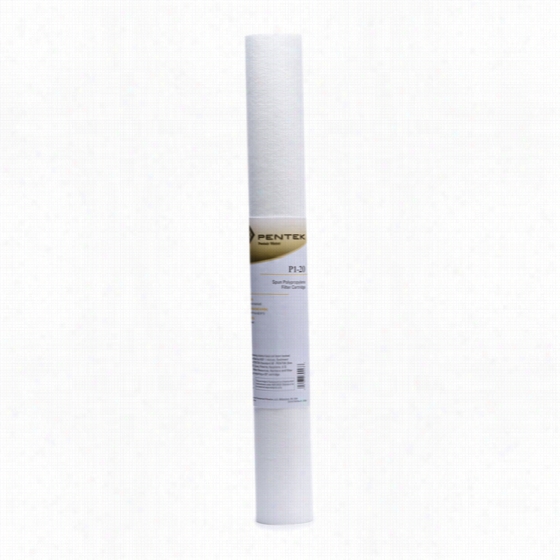 P1-20 Pentek Whole House Filter Replqcement Cartridge