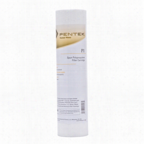 P1 Pentek Whole House Filter Replacement Cartridge