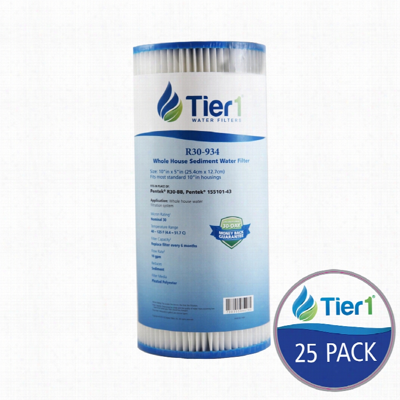 R30bb Pentek Comparable Whold House Sprinkle And Calender  Filter By Tier1 (25-pack)