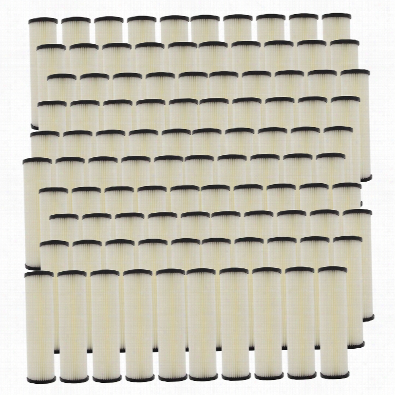 S1 Pentek Whole House Replacemnet Water Filter Cartridge (100-pack)