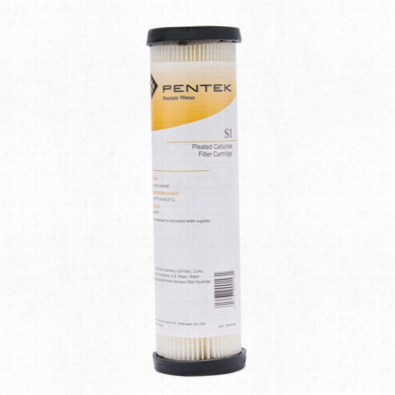 S1 Pentek Whole Hous Replacem Ejt Water Filter Cartridge