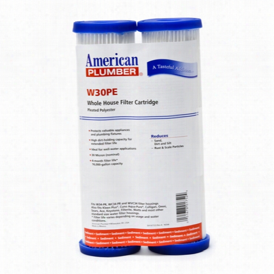 W30pe American Plumber Whole House Esdiment Strain C Artridge (2-pack)