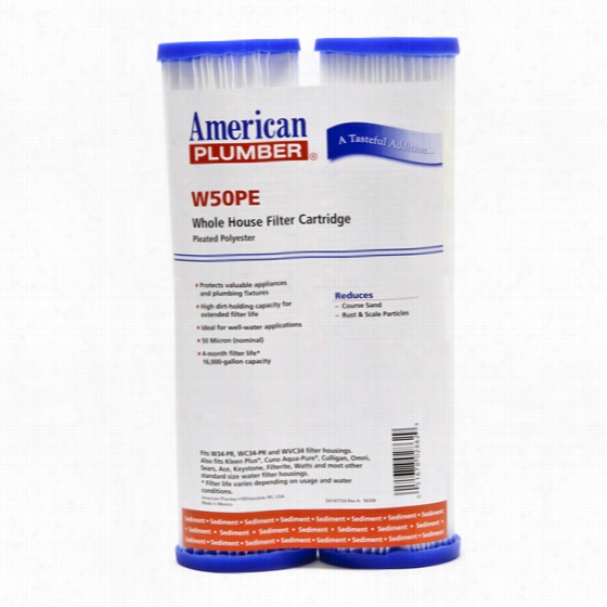 W50pe American Plumberr Whole House Sediment Filter  Cartridge (2-pack)