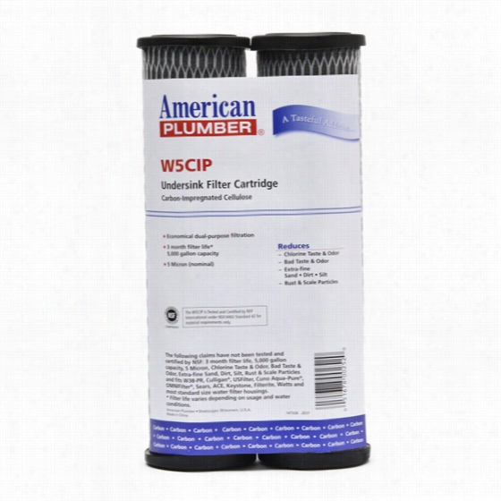 W5cip American Plumber Undersinkf Ilter Replacement Cartridge (2-pack)