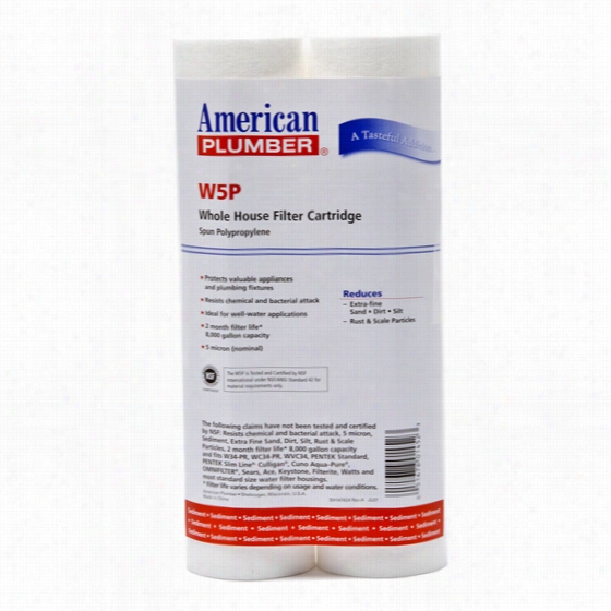 W5p American Plumbdr Whole House Sediment Filter Cartridge (2-pack)