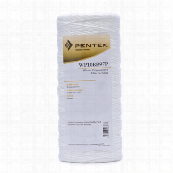 Wp10bb9 7p Pentek Whole House Filter Replacement Cartridge