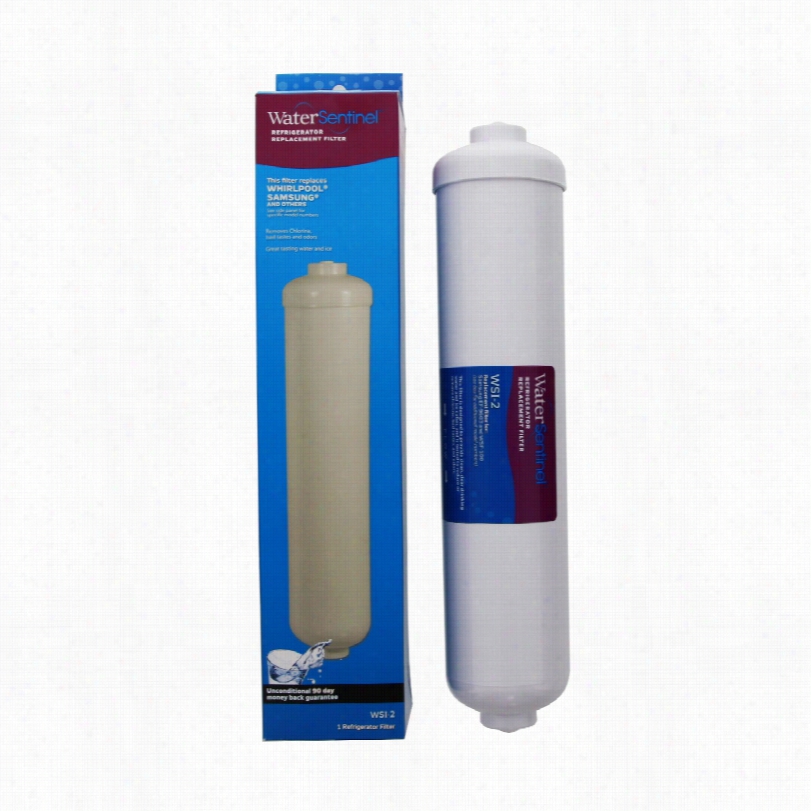 Wsi-2 Water Sentinel Rrefrigerator Filter: Samsung Ef-9603 / Wsf-100 Comparable