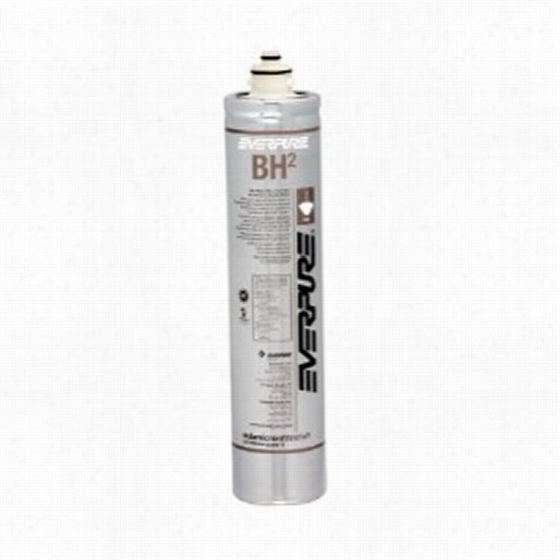 Bh-2 Everpure Re-establishment Filter Cartridge