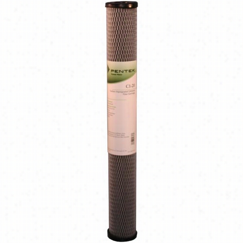 C1-20 Pentek Eplacement Filter Cartridge