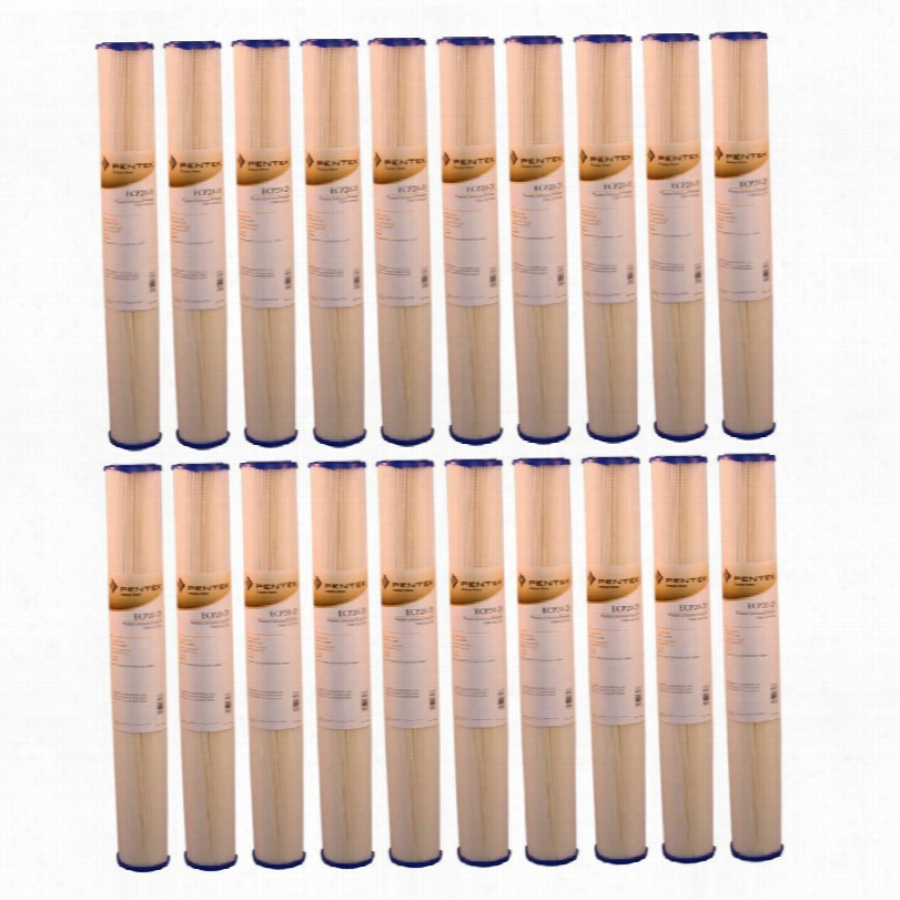 Ecp20-20 Pentek Replacement Filter Cartridge( 20-pack))