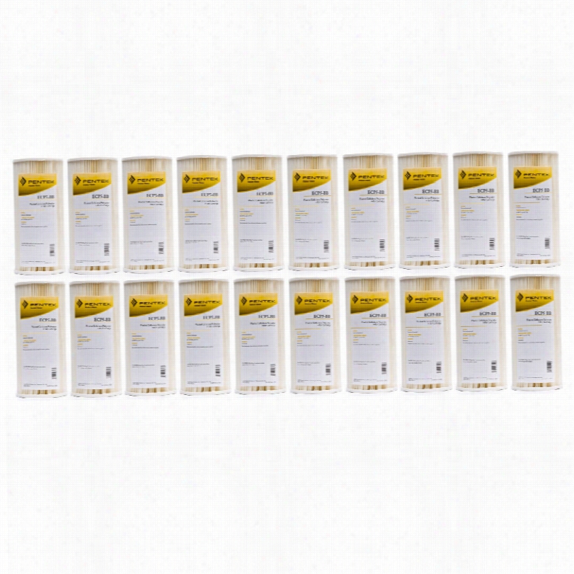 Ecp5-bb Pentk Whole  House F Ilter Replacement Cartridge (20-pack)