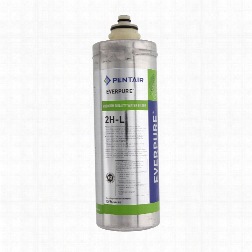 Ev9634-26 Everpure S-54 Water F Ilter Cartridge