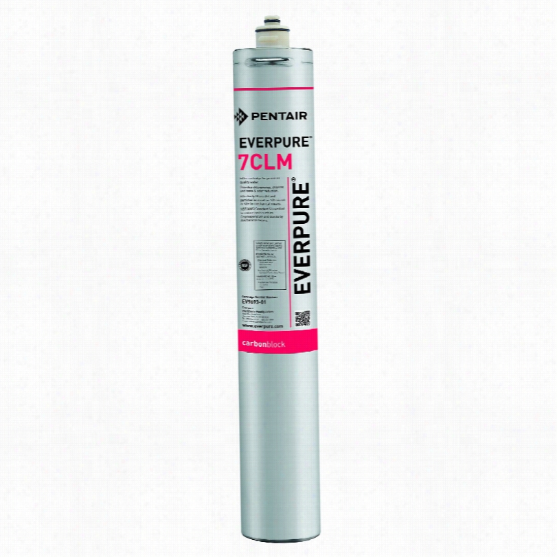 Ev9693-01 Everpure Chloramine Reduction Water Filter Replaement