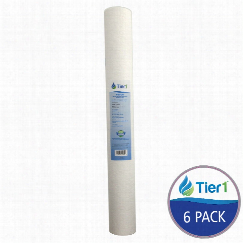 P20-20 Tier1 Sediment Water Filter (6-pa Ck)