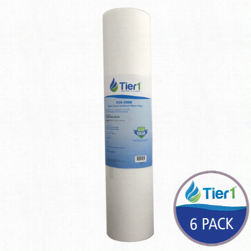 P20-20bb T Ier1 Whole House Replacement Sediment Filter Cartridge (6-pack)