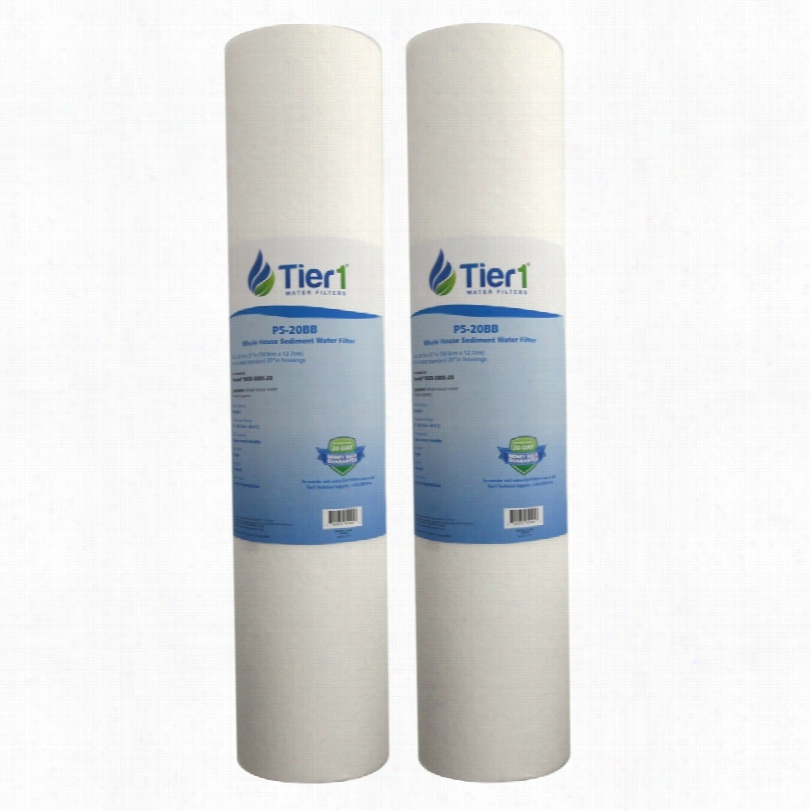 P5-20bb Tier1 Whole House Sediment Water Filter (2-pack)