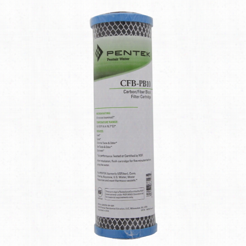 P Entek Cfb-pb10 Lead & Cyst Carbon Filetr