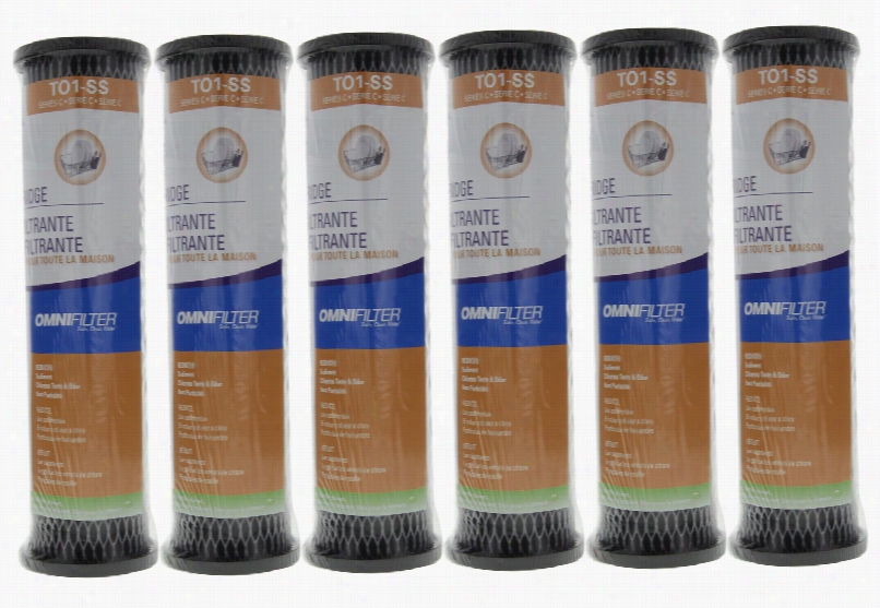 To1ss Omnifilyer Whole House Water Filter Replacement Cartridge (6-pack)