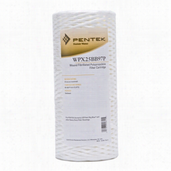 Wpx25bb07p Pentek Whole House Filter Replacement Cartridge