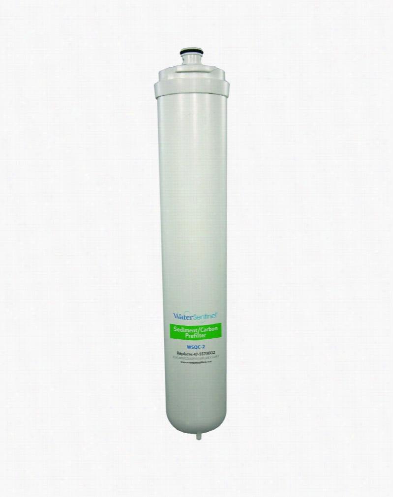 Wsqc-2 Watersentinel Reverse Osmosis Carbon Gac Filter Cartridge