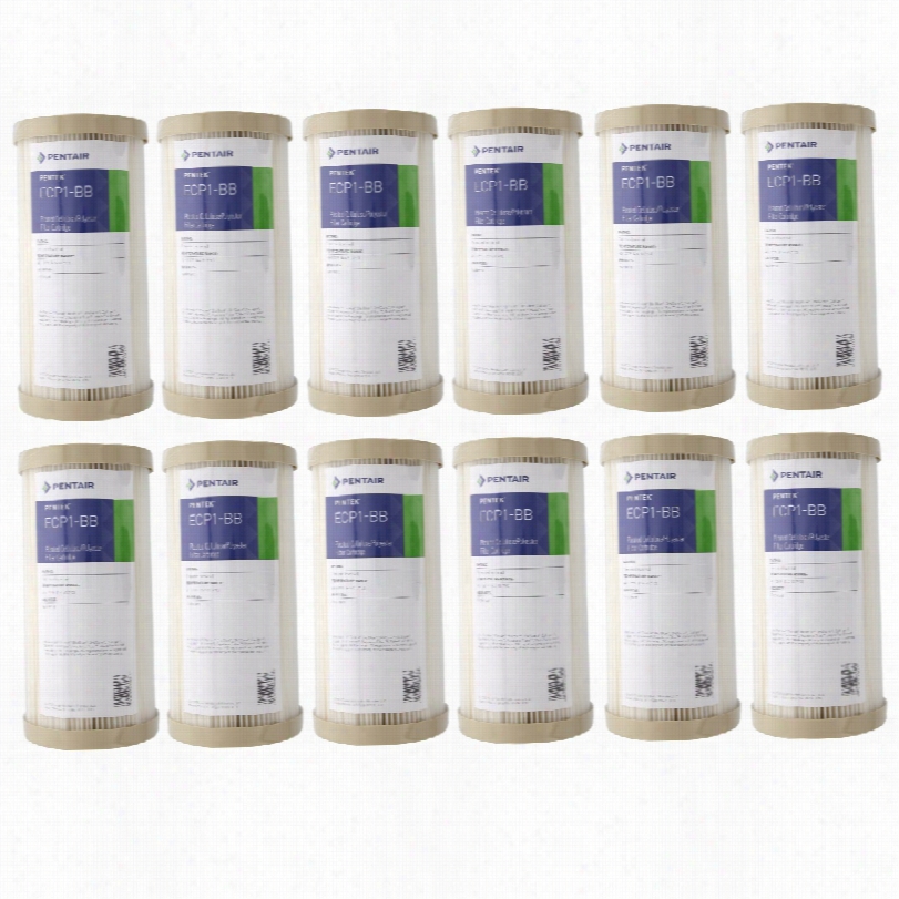 Ecp20-bb Penek Replacemeent Filter Cartridge (12-pack)