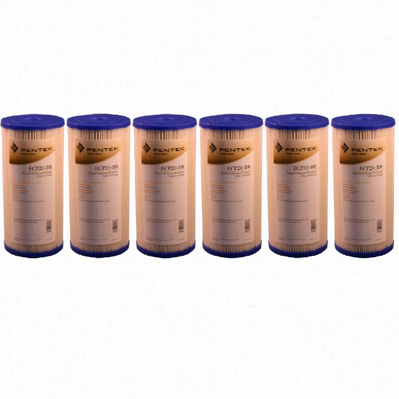 Ecp20-bb Pentek Replacement Filter Cartridge (6-pack)