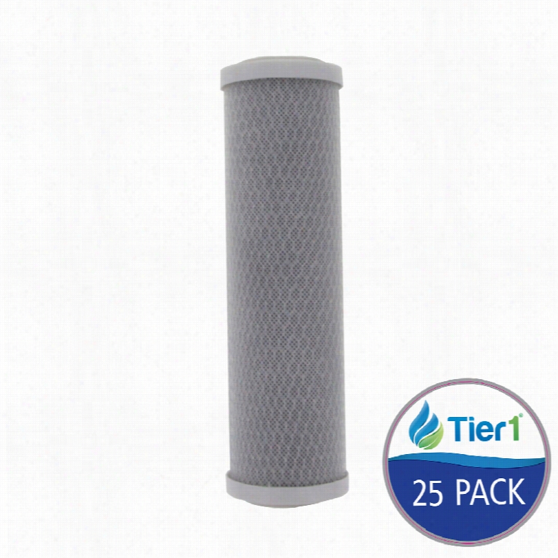 Ep10-01 Tier1 Carbon Block Wwater Filter (25-pack)