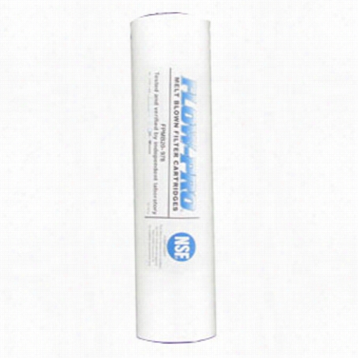 Fpmb20-978 Watts Flo-pro Replacement Water Filter