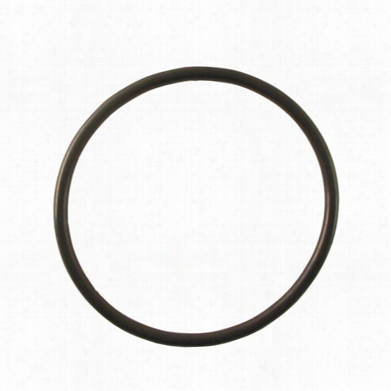 Ok25 Omnifilter O-ring