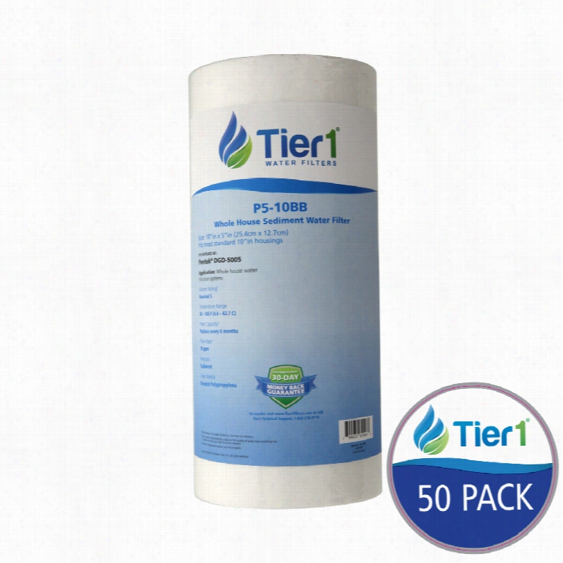 P5- 110bb Tier1 Sediment Water Filter (50-pack)