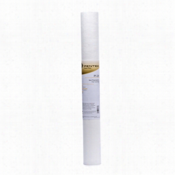 P5-20 Pentek Whole House Filter Replacement Cartridge