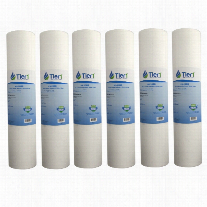 P5-20bb Tier1 Whole Housse  Sediment Water Filter (6-pack)