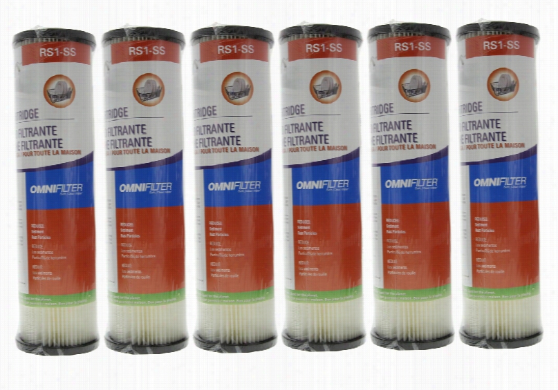 Rs1-ss Omnifiler Replaement W Hole Hotel Water Filter Cartridge (6-pack)