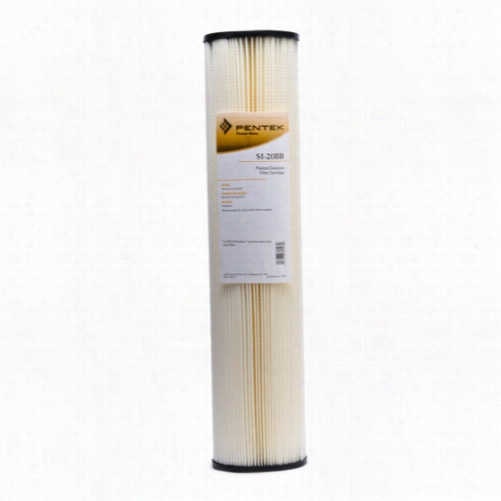 S1-20bb Pentek Whole House Filter Rellacement Cartridge