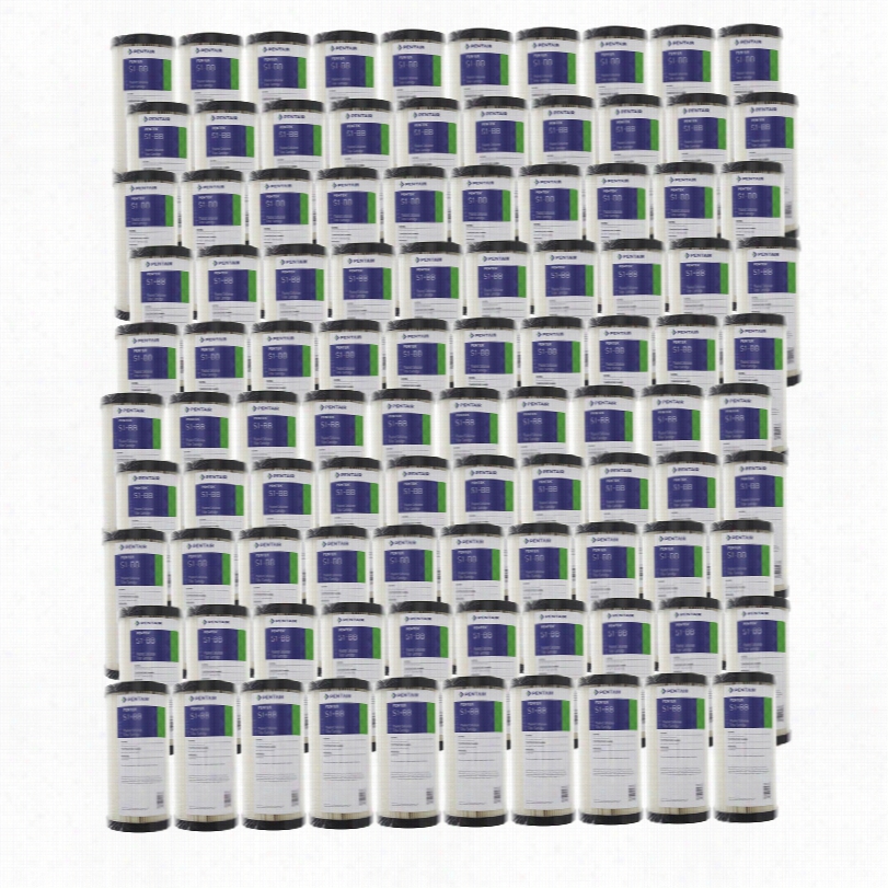 S1-bb Pentek Replacement Filter Cartridge (100-pack)
