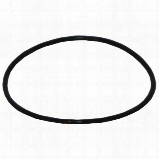 143216 Pentek Stainless Steel Filter H Ousing Sump O-ring