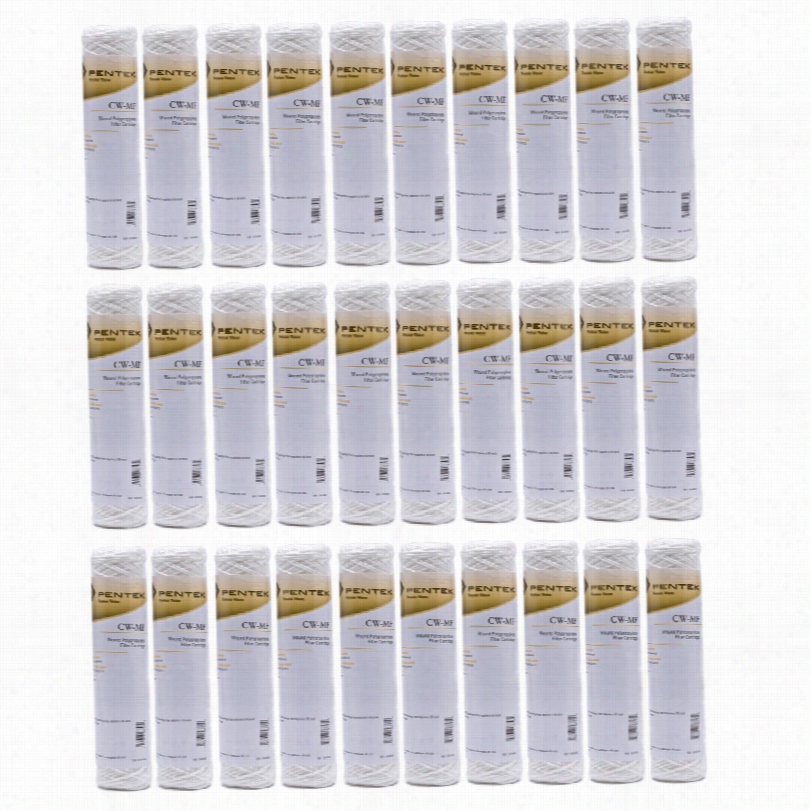 Cw-mf Ente Kwhole House Filter Replacement Cartridge (30-pack)